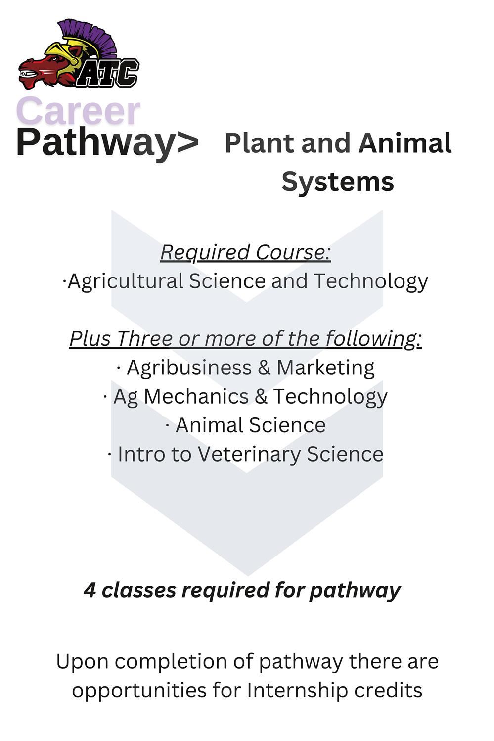 Plant and Animal Systems Plant and Animal Systems